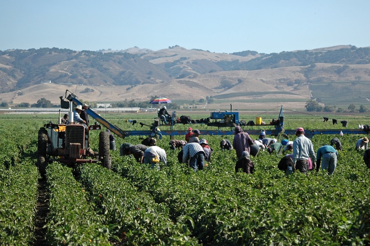 Agricultural Employees in California Entitled to Overtime