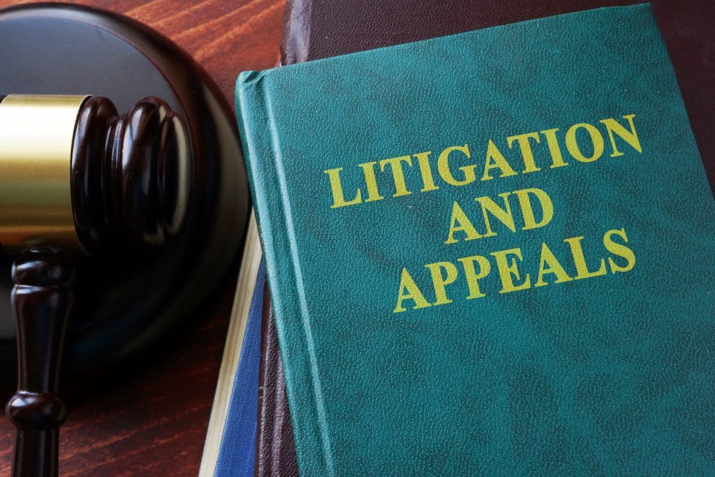 You Do Have Options if You Do Not Like a Court Decision: Learn About the Appeals Process