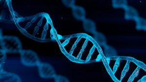 Decoding Genetic Information Discrimination in the Workplace: The Increasing Popularity of DNA Test Kits Decoding Genetic Information Discrimination in the Workplace: The Increasing Popularity of DNA Test Kits
